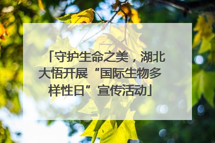 守护生命之美，湖北大悟开展“国际生物多样性日”宣传活动