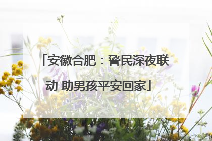 安徽合肥：警民深夜联动 助男孩平安回家