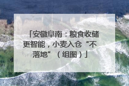 安徽阜南：粮食收储更智能，小麦入仓“不落地”（组图）
