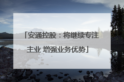 安通控股：将继续专注主业 增强业务优势