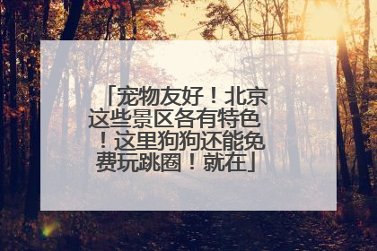 宠物友好！北京这些景区各有特色！这里狗狗还能免费玩跳圈！就在