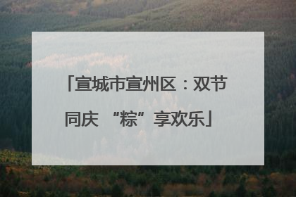 宣城市宣州区：双节同庆 “粽”享欢乐