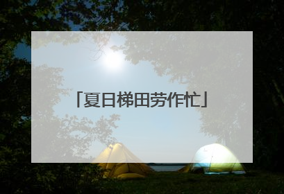 夏日梯田劳作忙