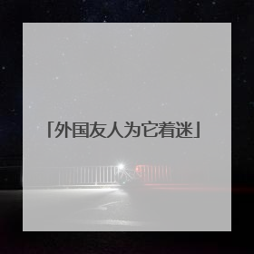 外国友人为它着迷