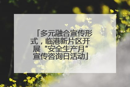 多元融合宣传形式，临港新片区开展“安全生产月”宣传咨询日活动