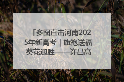 多图直击河南2025年新高考｜旗袍送福 葵花迎胜——许昌高考首日拉开帷幕