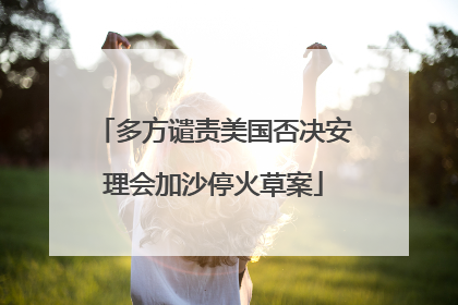 多方谴责美国否决安理会加沙停火草案
