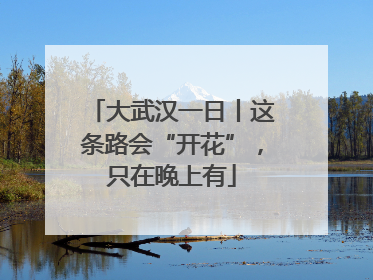 大武汉一日丨这条路会“开花”，只在晚上有