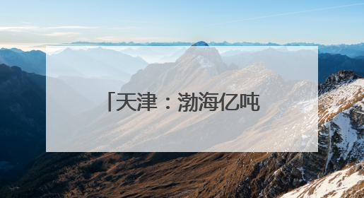 天津：渤海亿吨级油田海上平台陆地建造工作收官