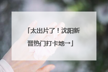 太出片了！沈阳新晋热门打卡地→