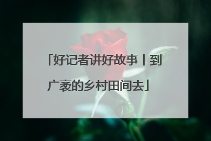 好记者讲好故事丨到广袤的乡村田间去