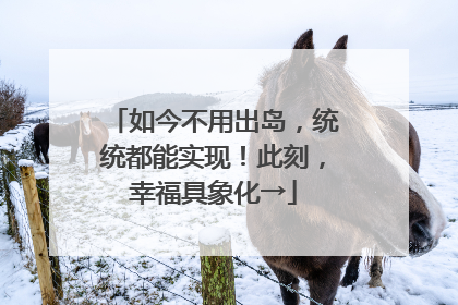 如今不用出岛，统统都能实现！此刻，幸福具象化→