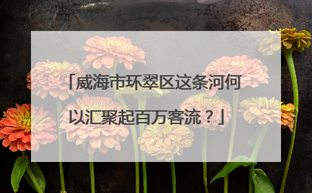 威海市环翠区这条河何以汇聚起百万客流？