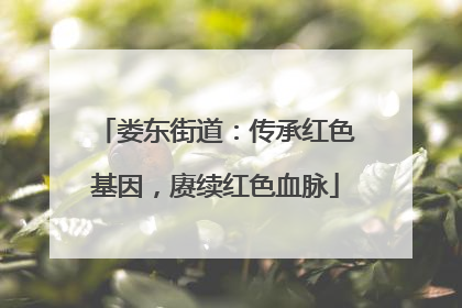 娄东街道：传承红色基因，赓续红色血脉