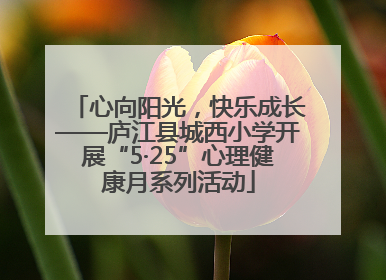 心向阳光，快乐成长——庐江县城西小学开展“5·25”心理健康月系列活动