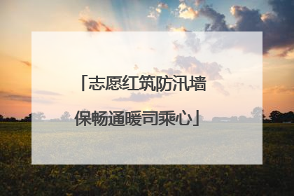 志愿红筑防汛墙 保畅通暖司乘心