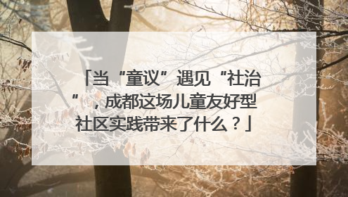 当“童议”遇见“社治”，成都这场儿童友好型社区实践带来了什么？