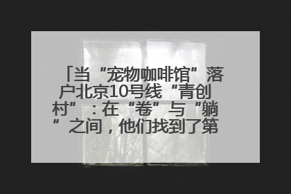 当“宠物咖啡馆”落户北京10号线“青创村”：在“卷”与“躺”之间，他们找到了第三种生活公式