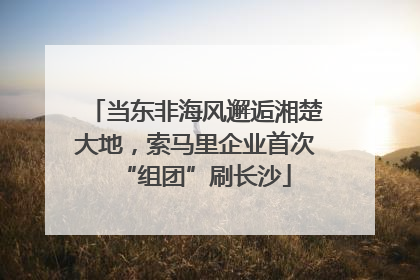 当东非海风邂逅湘楚大地，索马里企业首次“组团”刷长沙