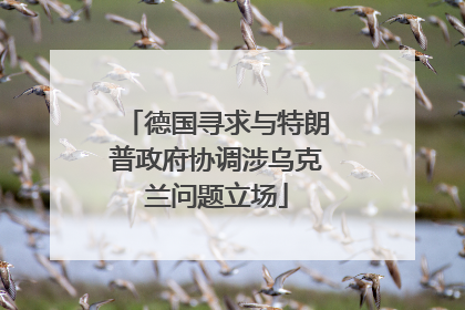 德国寻求与特朗普政府协调涉乌克兰问题立场