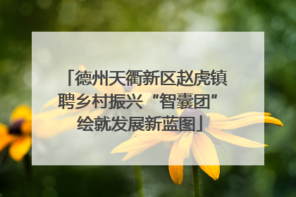 德州天衢新区赵虎镇聘乡村振兴“智囊团” 绘就发展新蓝图