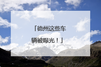 德州这些车辆被曝光！
