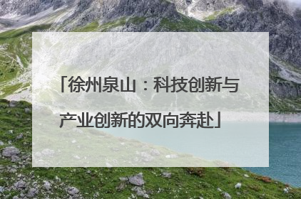 徐州泉山：科技创新与产业创新的双向奔赴