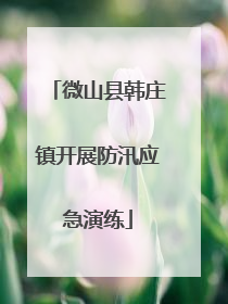 微山县韩庄镇开展防汛应急演练