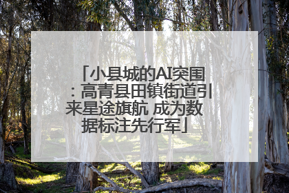 小县城的AI突围：高青县田镇街道引来星途旗航 成为数据标注先行军