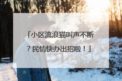 小区流浪猫叫声不断？民情快办出招啦！