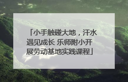 小手触碰大地，汗水遇见成长 乐师附小开展劳动基地实践课程