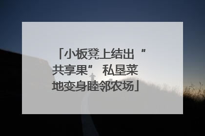 小板凳上结出“共享果” 私垦菜地变身睦邻农场