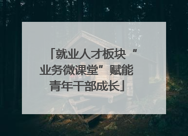 就业人才板块“业务微课堂”赋能青年干部成长