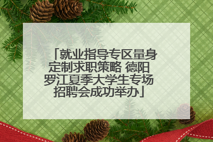 就业指导专区量身定制求职策略 德阳罗江夏季大学生专场招聘会成功举办