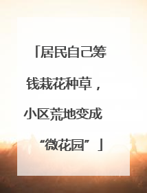 居民自己筹钱栽花种草，小区荒地变成“微花园”