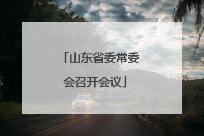 山东省委常委会召开会议
