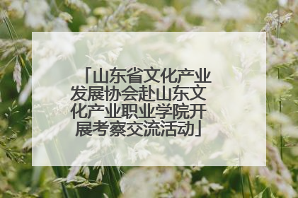 山东省文化产业发展协会赴山东文化产业职业学院开展考察交流活动