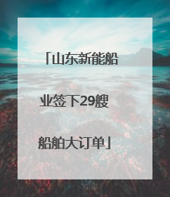 山东新能船业签下29艘船舶大订单