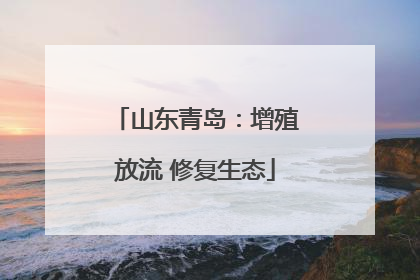 山东青岛：增殖放流 修复生态