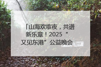 山海欢歌夜，共谱新乐章！2025“又见东港”公益晚会奏响文旅强音