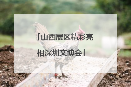 山西展区精彩亮相深圳文博会