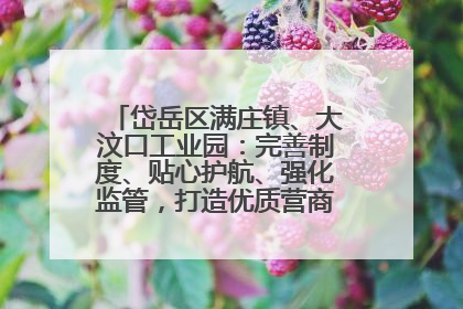 岱岳区满庄镇、大汶口工业园：完善制度、贴心护航、强化监管，打造优质营商“强磁场”