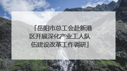 岳阳市总工会赴新港区开展深化产业工人队伍建设改革工作调研