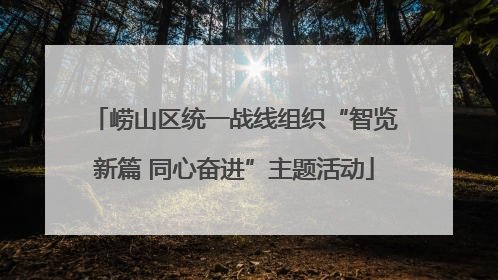 崂山区统一战线组织“智览新篇 同心奋进”主题活动