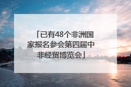 已有48个非洲国家报名参会第四届中非经贸博览会