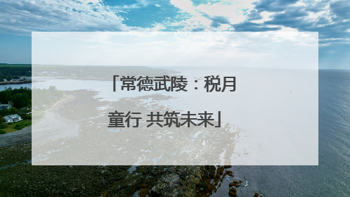 常德武陵：税月童行 共筑未来