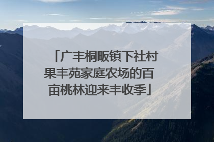 广丰桐畈镇下社村果丰苑家庭农场的百亩桃林迎来丰收季