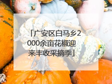 广安区白马乡2000余亩花椒迎来丰收采摘季