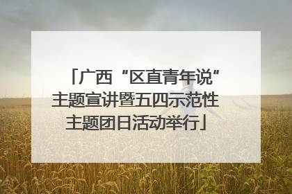广西“区直青年说”主题宣讲暨五四示范性主题团日活动举行