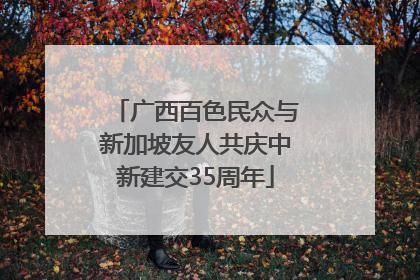 广西百色民众与新加坡友人共庆中新建交35周年